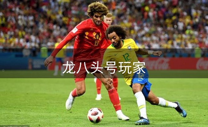 龙八头号玩家概况